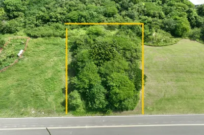 41-e Whim (two Will) We 1