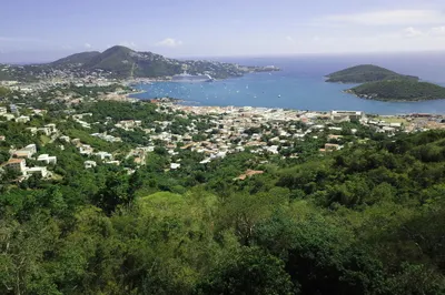 100-11-3 Solberg Lns 1