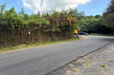 8z Constitution Hill Co 1