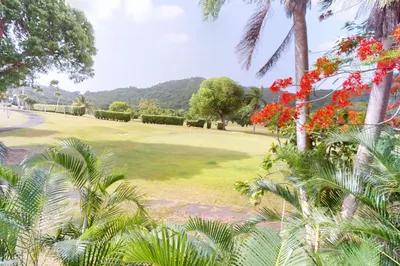 A Fountain Na 1