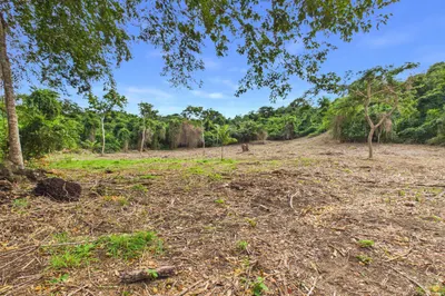 9-h Montpellier Pr 1