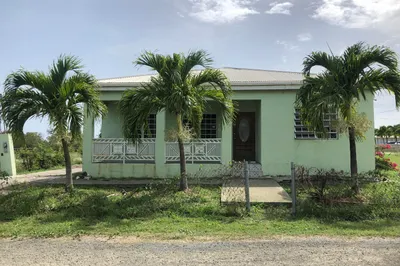 136 Whim (two Will) We 1