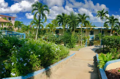 59 Orange Grove Co 1