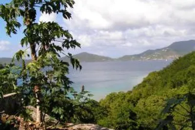 6-o-33 Hansen Bay 1