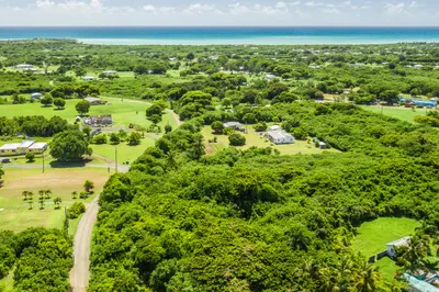 86 Carlton We 1