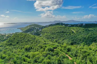 3b-1 Et Al Sans Soucci & Guinea Gut 1