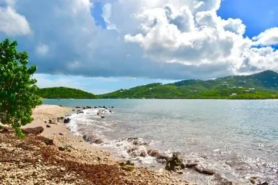 249 Judith's Fancy Qu 1