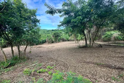 9-c1 Montpellier Pr 1