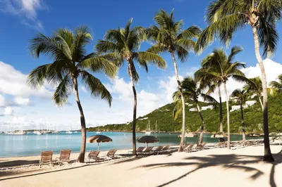 300-1 Chocolate Hole 1