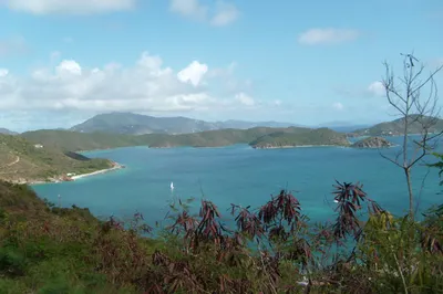 25-b & 11a Freemans Ground 1