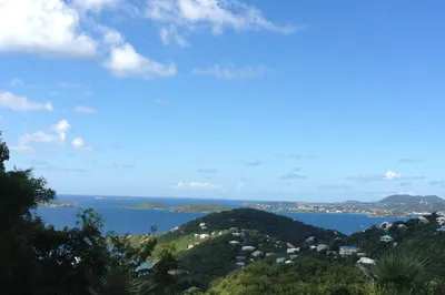 3b-25 Sans Soucci & Guinea Gut 1