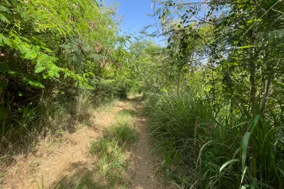 C-5-b-5 Lovenlund Gns 1