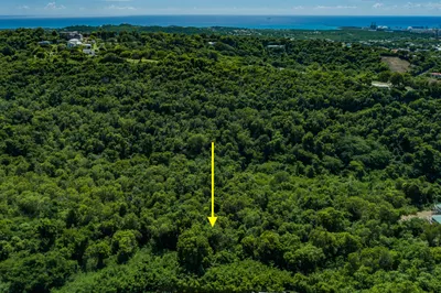 13-c Bellevue Co 1