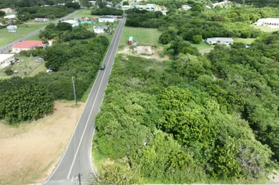 41-k Whim (two Will) We 1