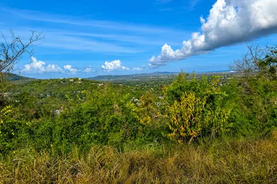 34 St. George Pr 1
