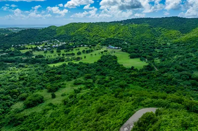 Rem Et Al Fountain Na 1