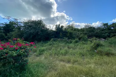 195-b Smithfield We 1