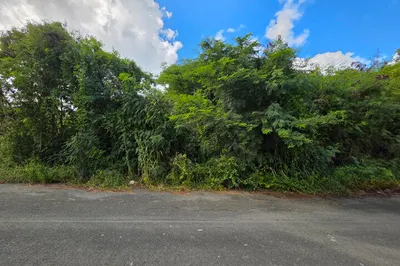 304-d Barren Spot Qu 1