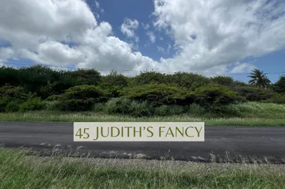 45 Judith's Fancy Qu 1