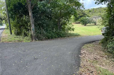 174 Judith's Fancy Qu 1