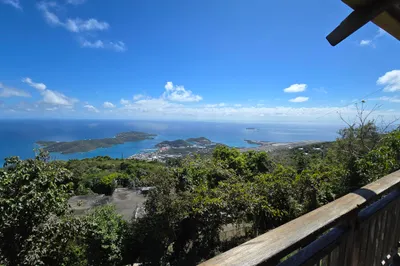 11d9,11s Solberg Lns 1