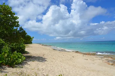 188 Two Brothers We 1