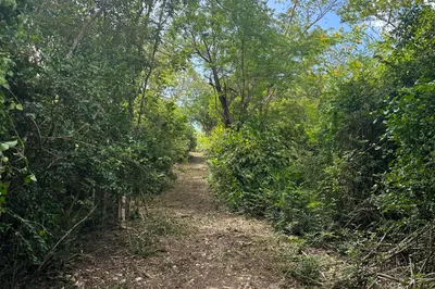 53 Constitution Hill Co 1