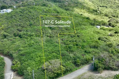 107-c Solitude Eb 1