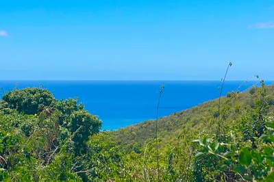 115 Little La Grange We 1