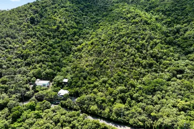 6-s Rem Ben Runnels Gut 1