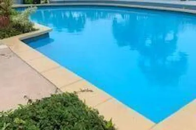 25 Orange Grove Co 1