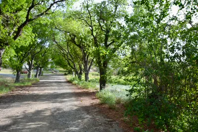 4 & 5 Orange Grove Co 1