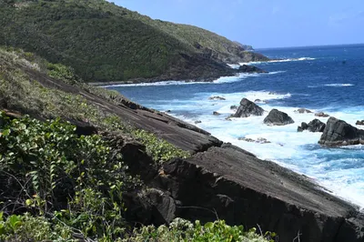 1,1a,b,c,d Bordeaux We 1