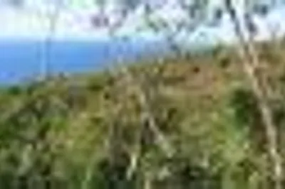 26 C Prospect Hill Na 1