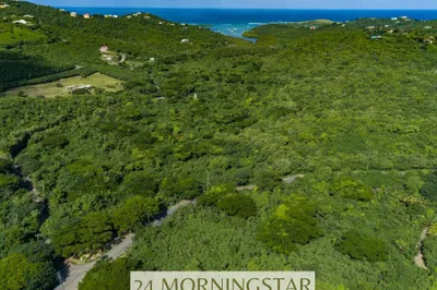 24 Morningstar Qu 1