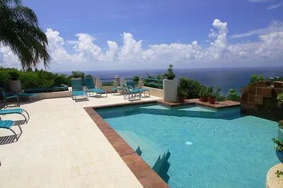 3b-52 Sans Soucci & Guinea Gut 1