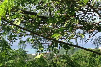 3 Of 137 Mt. Welcome Ea 1