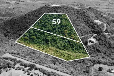 59 Grange Stock Est Co 1