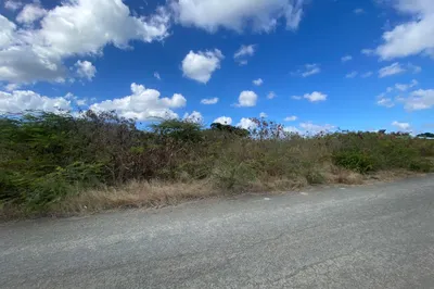 276 Enfield Green Pr 1