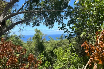 7-b Mt Washington We 1