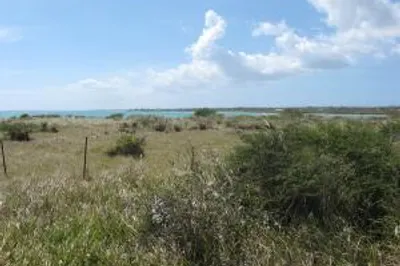 38 Rem. Carlton We 1