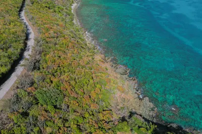 15a-3-8 Rendezvous & Ditleff 1