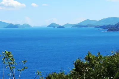 11-70 Peterborg Gns 1